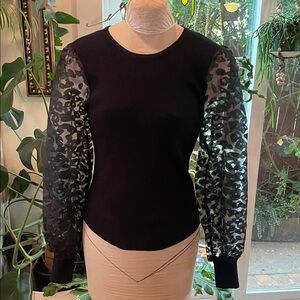 NWT Elegant Black Top with Sheer Sleeves
